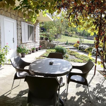 Apartment Jazz Golubac Exteriör bild