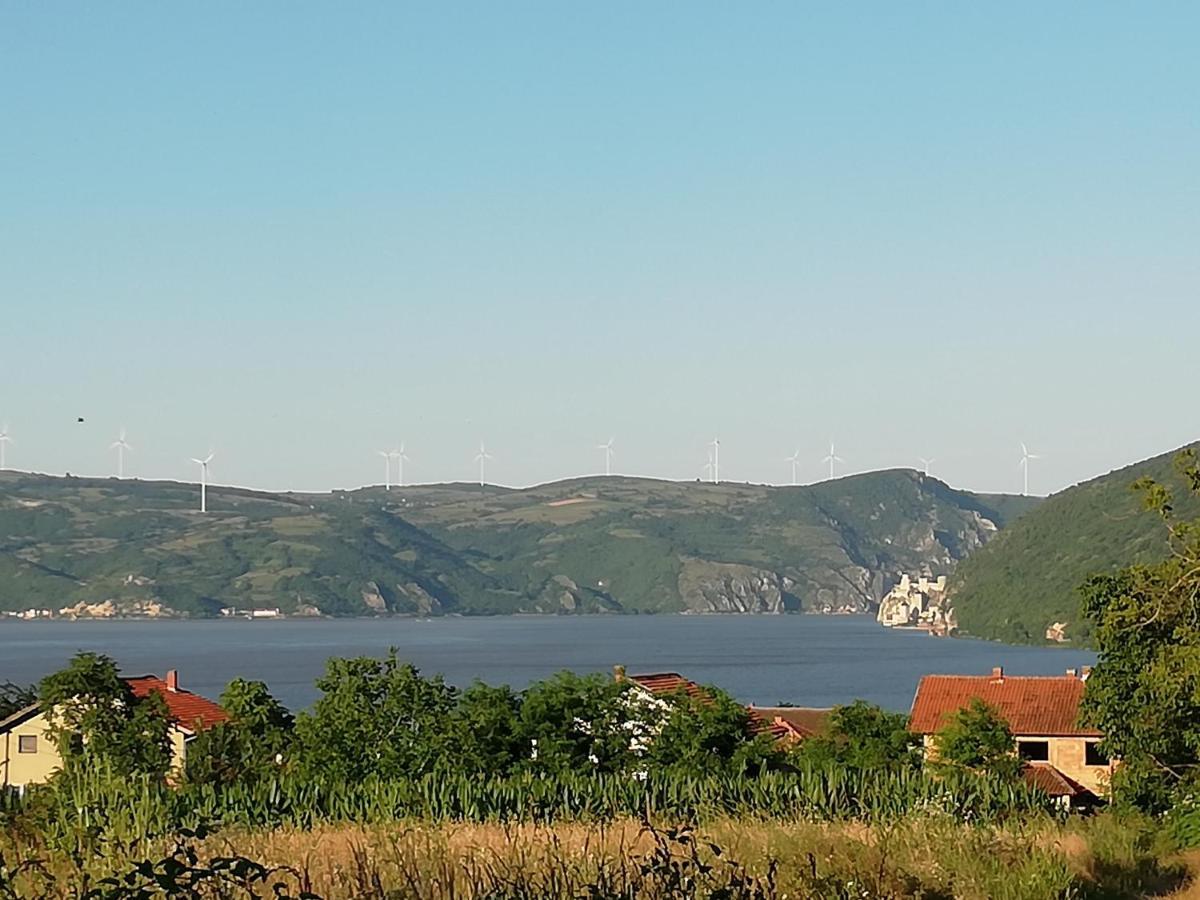Apartment Jazz Golubac Exteriör bild